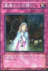 Grave Lure TLM-JP056