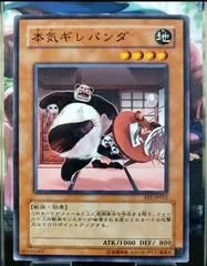 Maji-Gire Panda FET-JP012