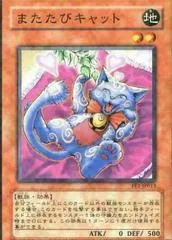 Catnipped Kitty FET-JP013