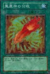 A Feather of the Phoenix FET-JP037