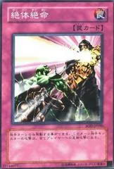 Absolute End SOD-JP050