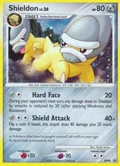 Shieldon #DP08