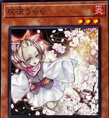 Ash Blossom & Joyous Spring SD47-JP015
