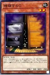 Maxx C SD47-JP016