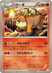 Camerupt [1st Edition] #11