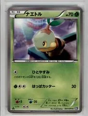 Turtwig [1st Edition] #1