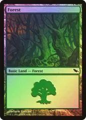 Forest [Foil] #301