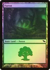 Forest [Foil] #299