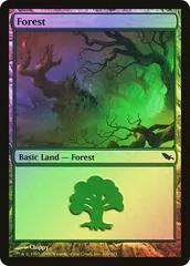 Forest [Foil] #300