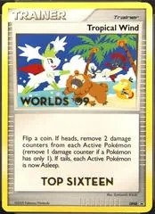 Tropical Wind [Top Sixteen] #DP48
