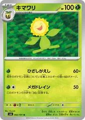 Sunflora #2