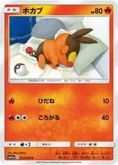Tepig #13
