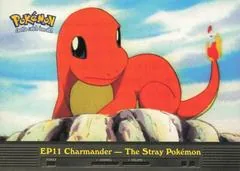 Charmander-the Stray Pokemon #EP11