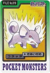Rattata #19