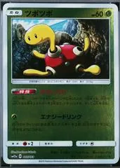 Shuckle [Reverse Holo] #7