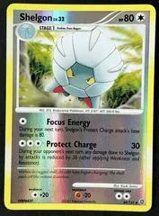 Shelgon [Reverse Holo] #64