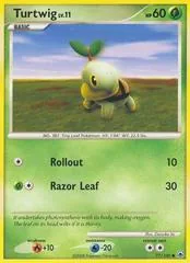 Turtwig #77