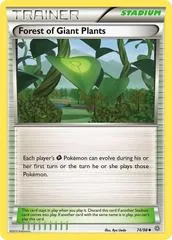 Forest of Giant Plants #74