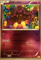 Pumpkaboo #62