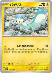 Pachirisu #33