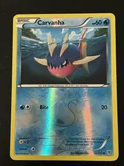 Carvanha [Reverse Holo] #32