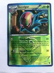 Accelgor [Reverse Holo] #8