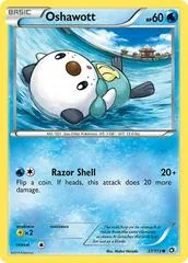 Oshawott #37