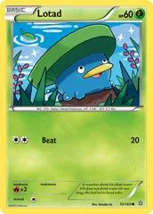 Lotad #10