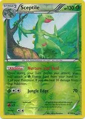 Sceptile [Reverse Holo] #8