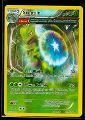 Sceptile [Reverse Holo] #9