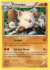 Primeape #53