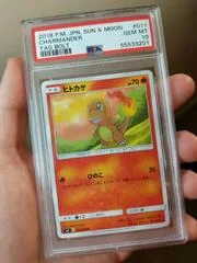 Charmander #11