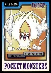 Pidgey #16