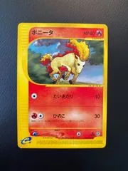 Ponyta #24
