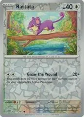 Rattata #19
