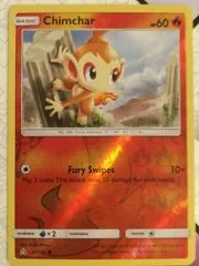 Chimchar #21