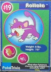 Rattata #19