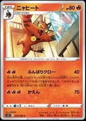 Torracat #16