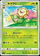 Sunflora #2