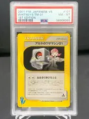 Whitney's TM 01 #107