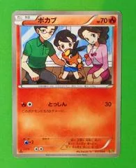 Tepig #17