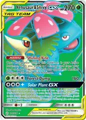 Venusaur & Snivy GX #210