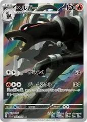 Houndoom #66
