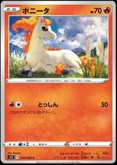 Ponyta #10