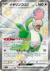 Squawkabilly ex #337