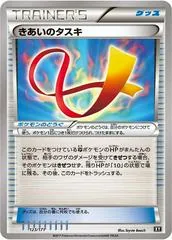 Focus Sash #123