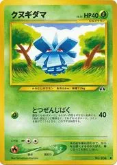 Pineco #204