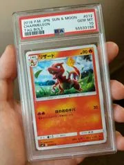 Charmeleon #12