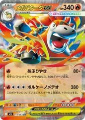 Mega Camerupt ex #13