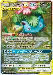 Venusaur & Snivy GX #66